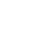 escudo afa